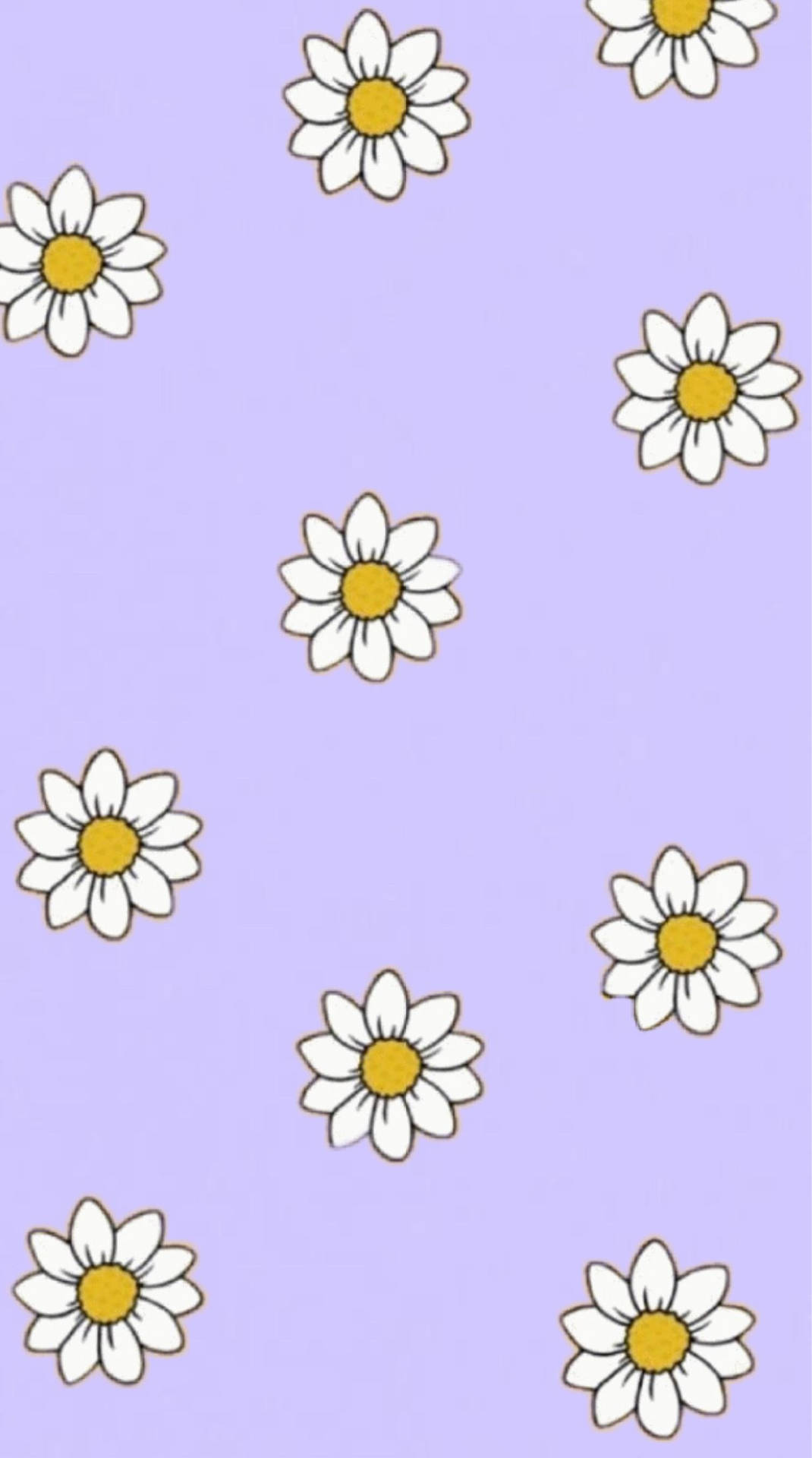 Daisy Aesthetic Pattern Lavender