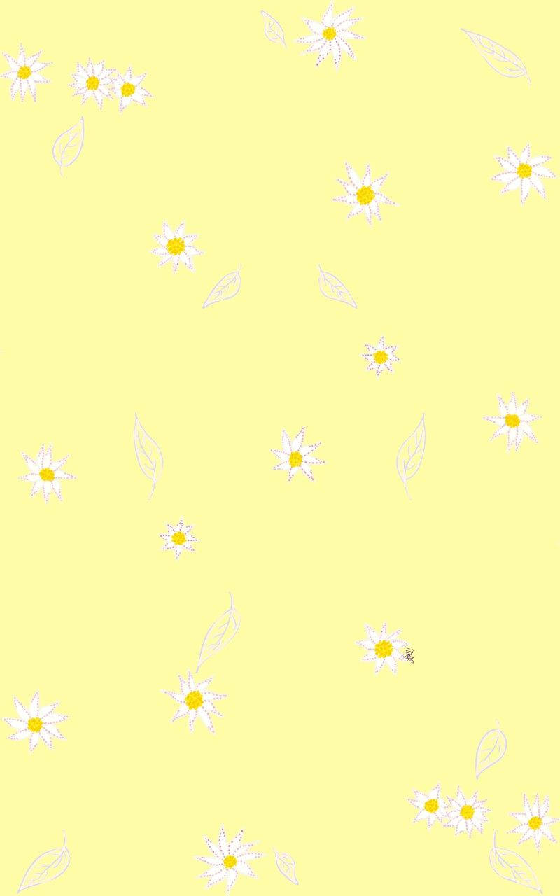 Daisy Flowers Over Cute Pastel Yellow Aesthetic Background