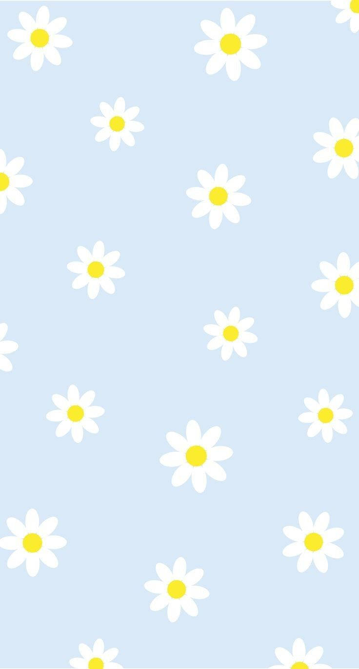 Daisy Iphone Patterns On Pastel Blue Background