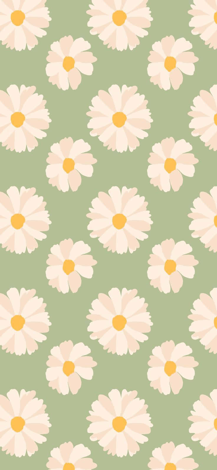 Daisy Pattern Green Background Background