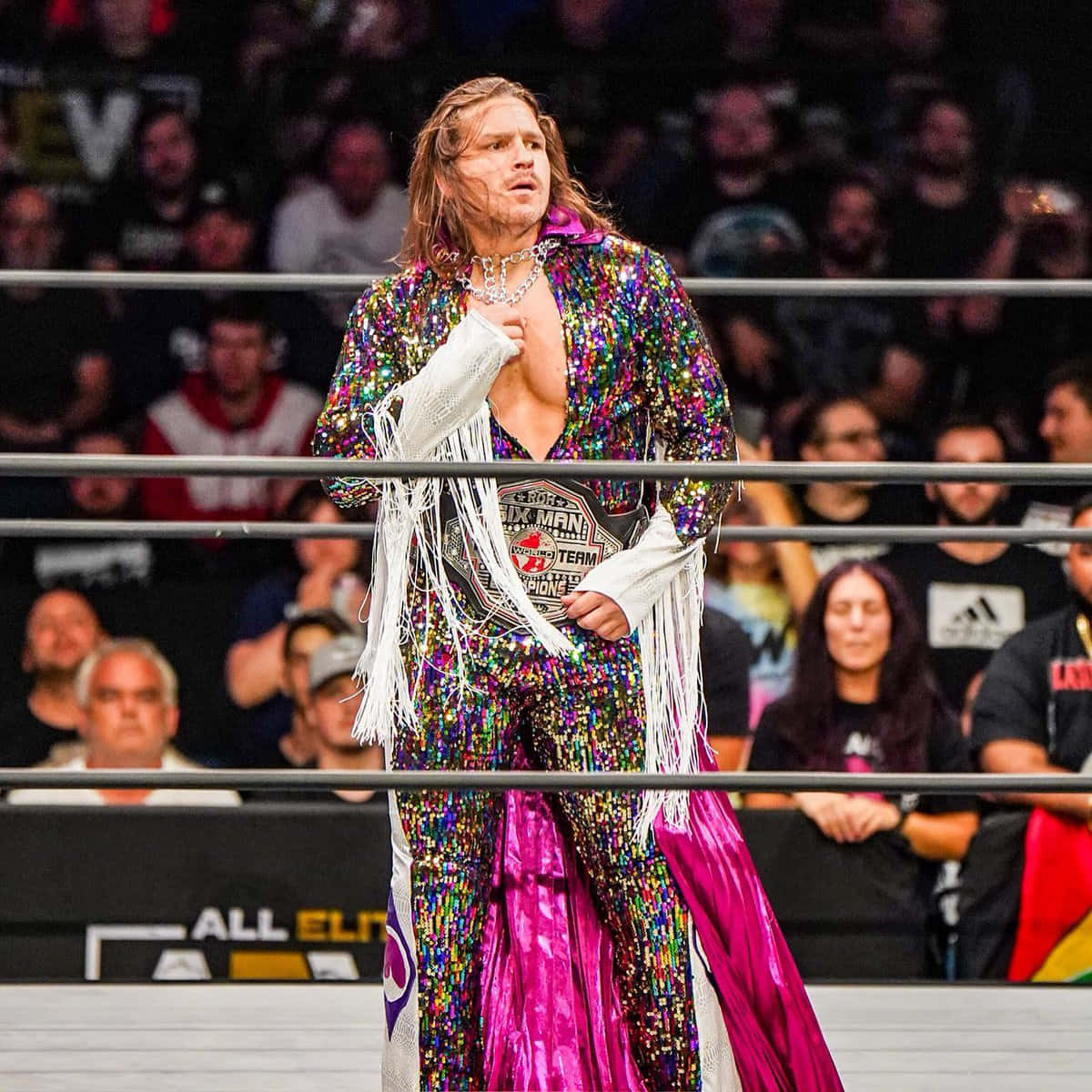 Dalton Castle - Ring Of Honor Champion In Action Background