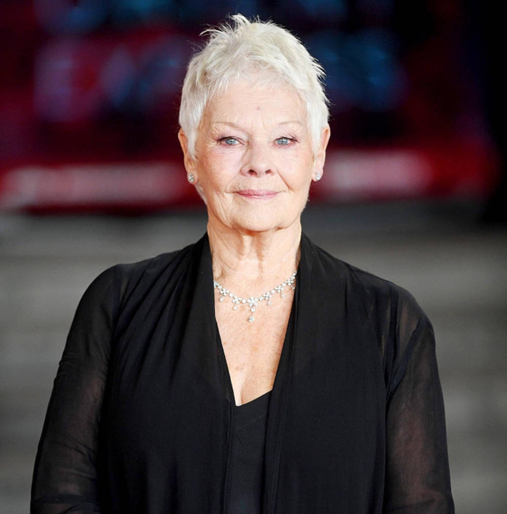 Dame Judi Dench Graces With Her Elegant Smile