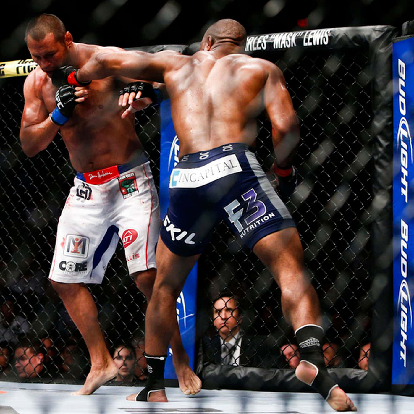 Dan Henderson Fighting Rashad Evans Background