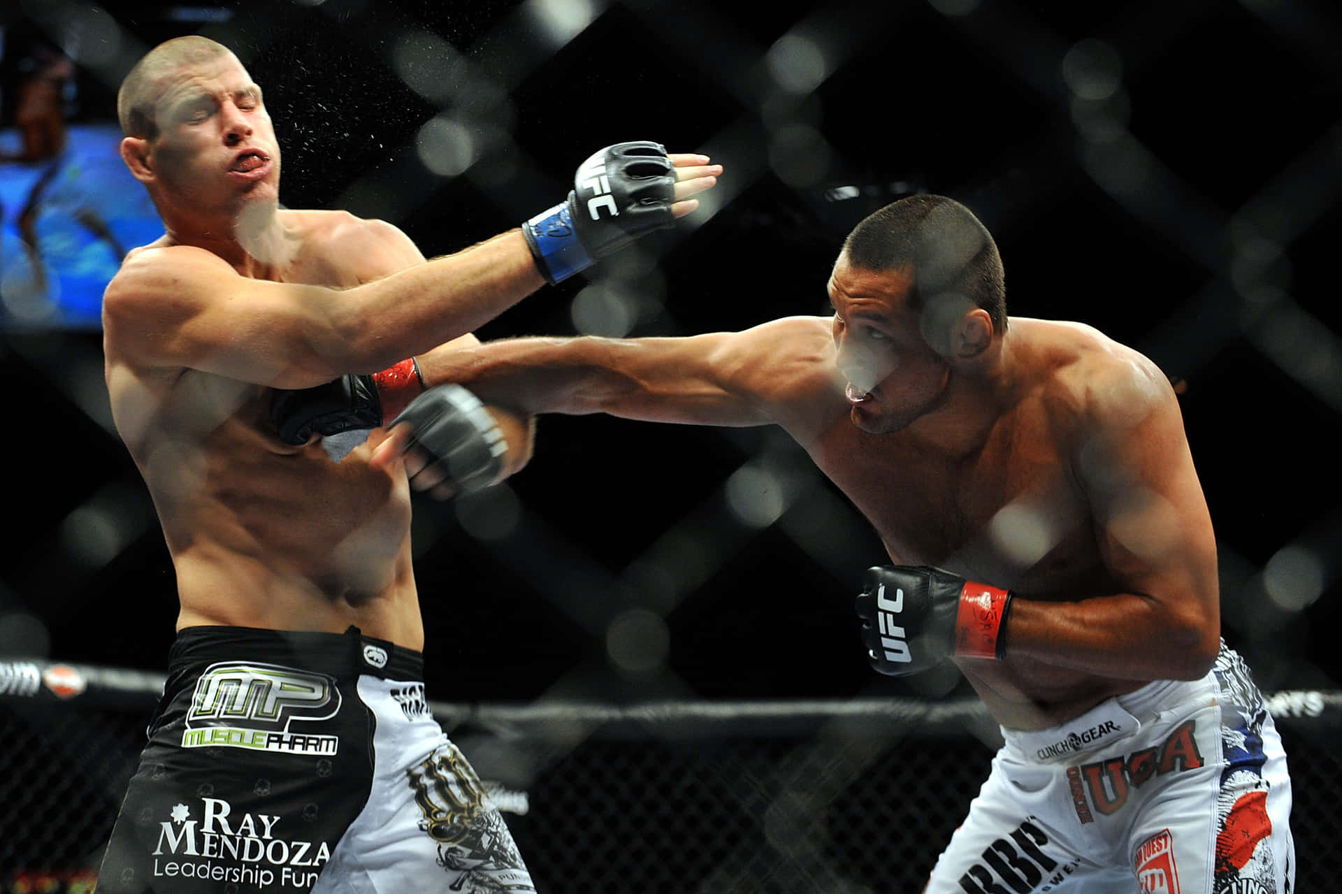 Dan Henderson Punching Michael Bisping Background