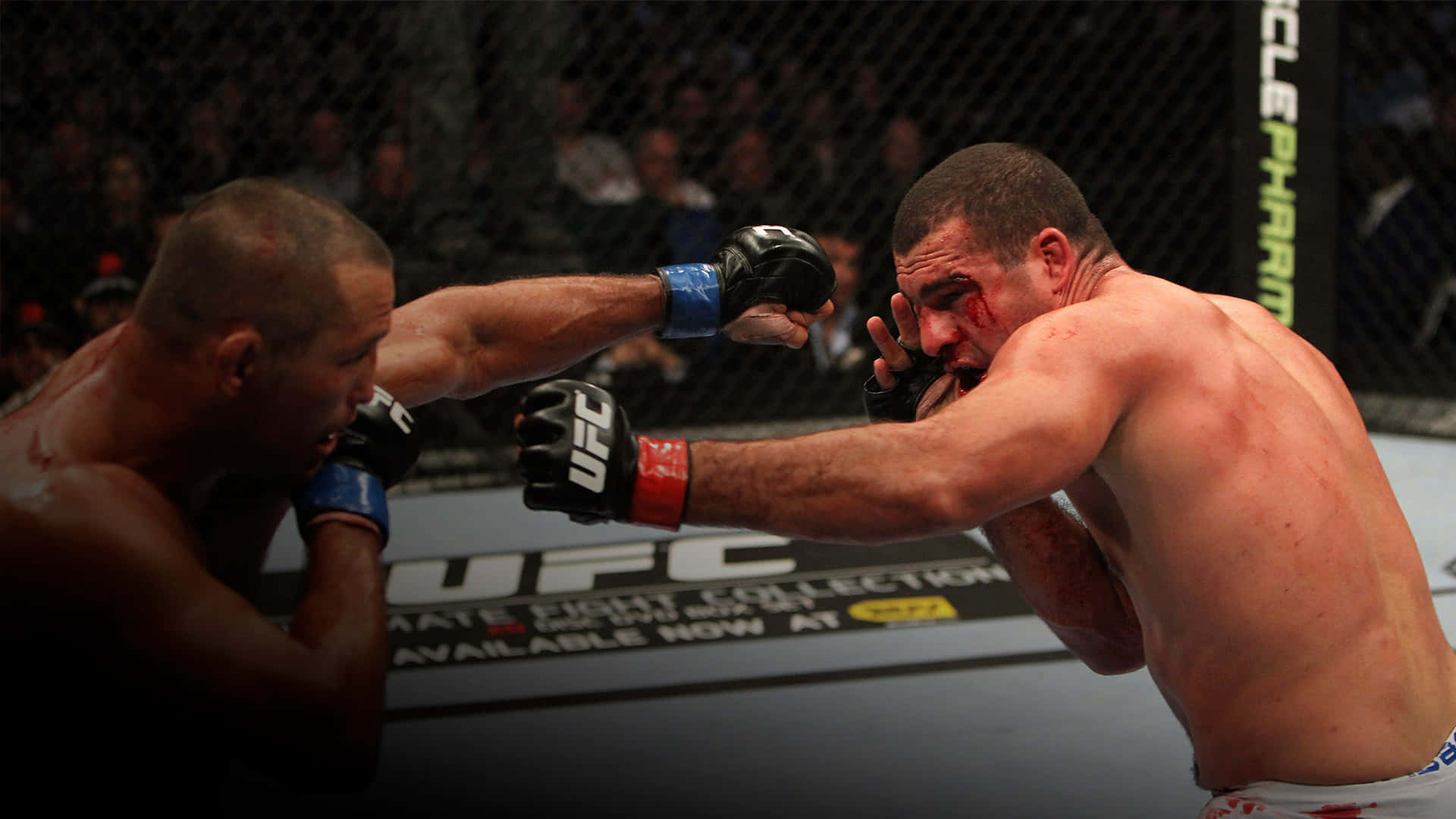 Dan Henderson Vs Mauricio Rua