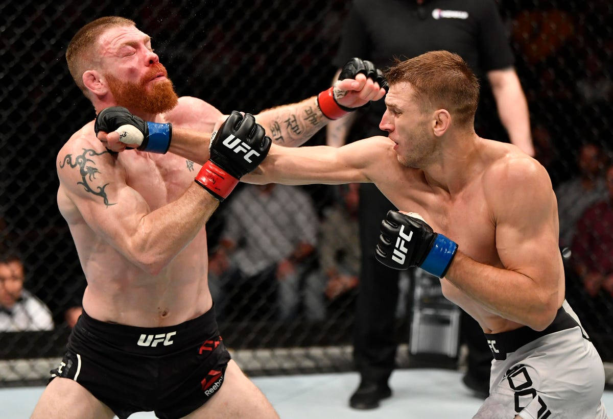 Dan Hooker Hitting Paul Felder