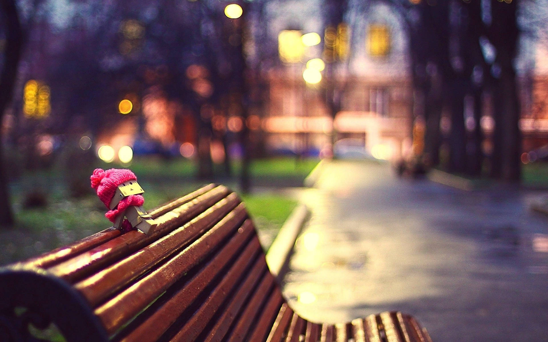 Danbo On Bench Background