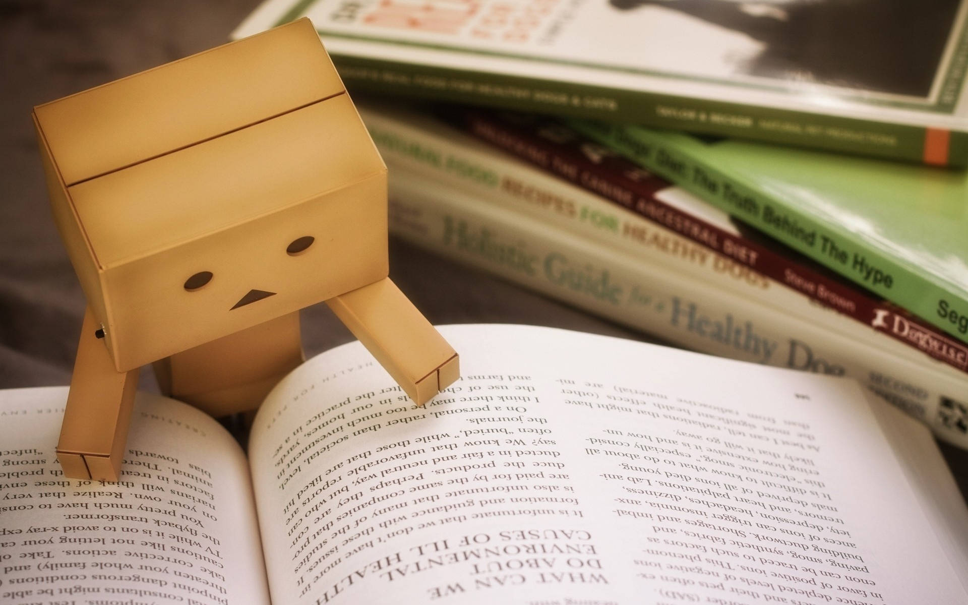 Danboard Reading A Book Background