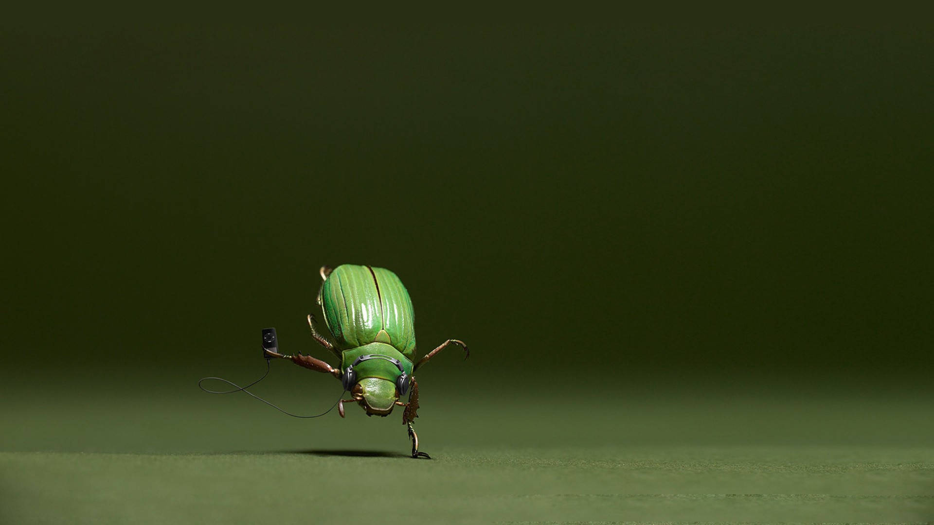 Dancing Green Beetle Background