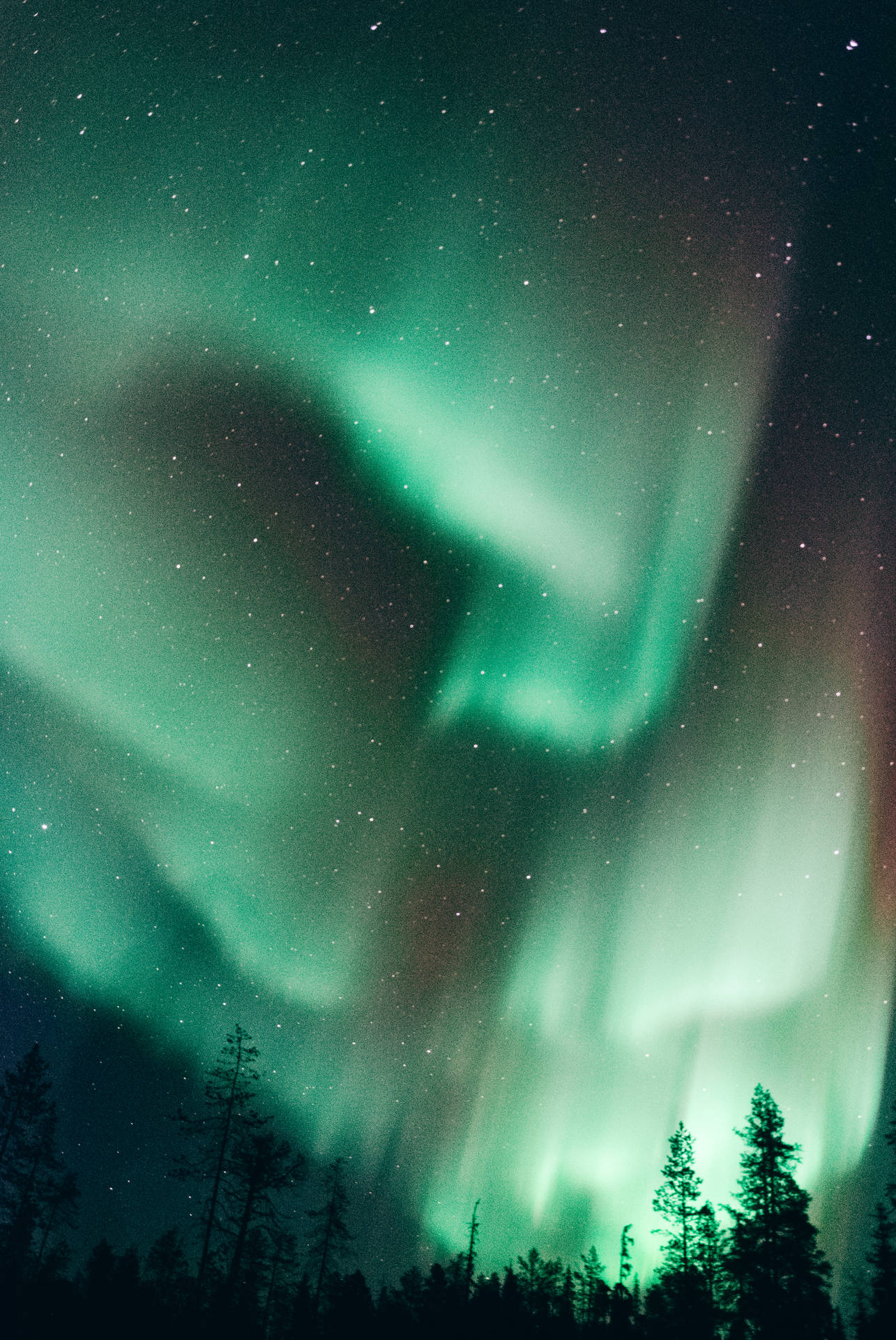 Dancing Northern Lights Of Finland Background