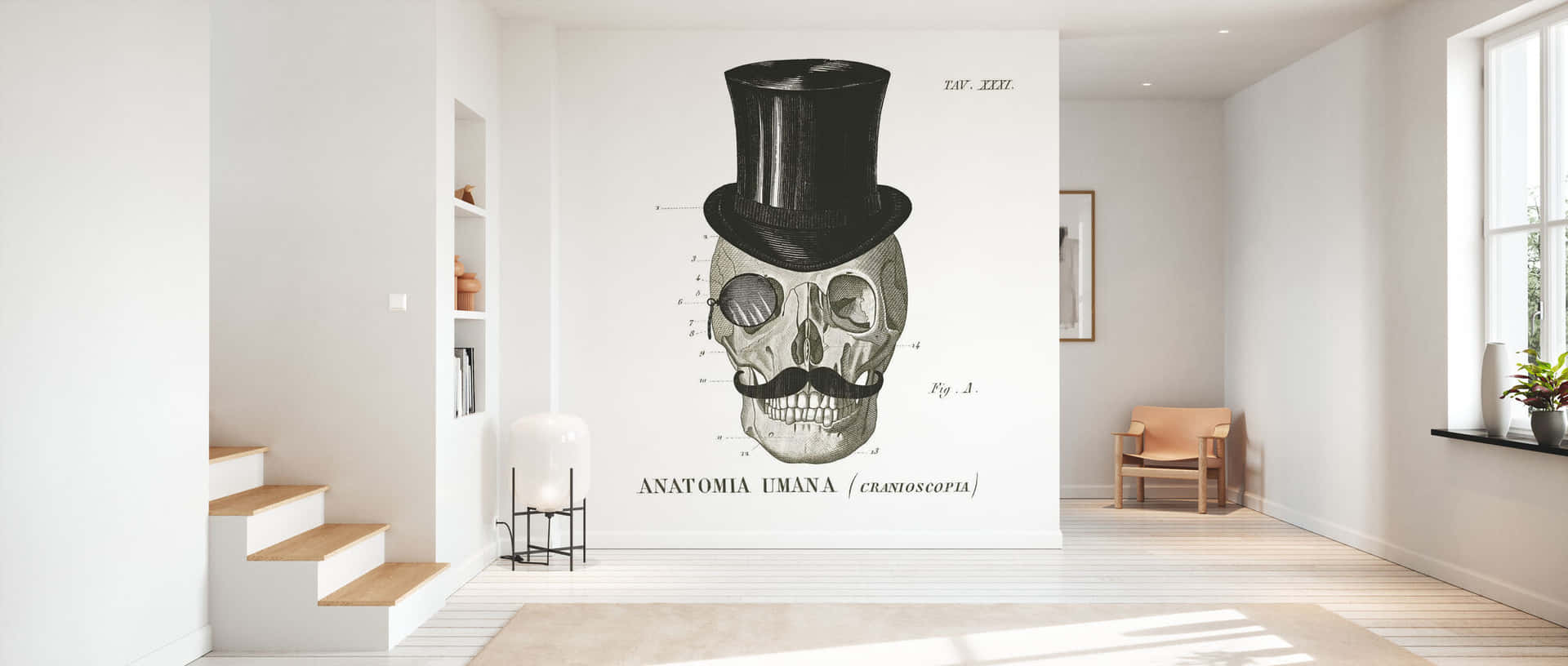 Dandy Skull Wall Art Background