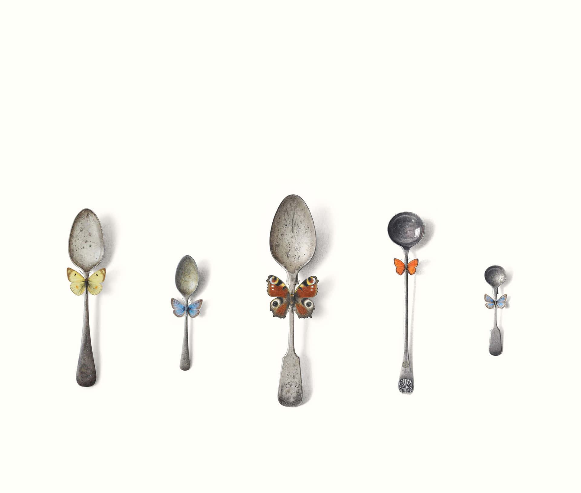 Dandy Spoon Set