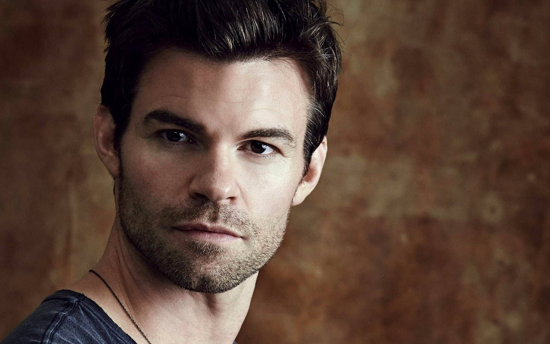 Daniel Gillies Portrait Background