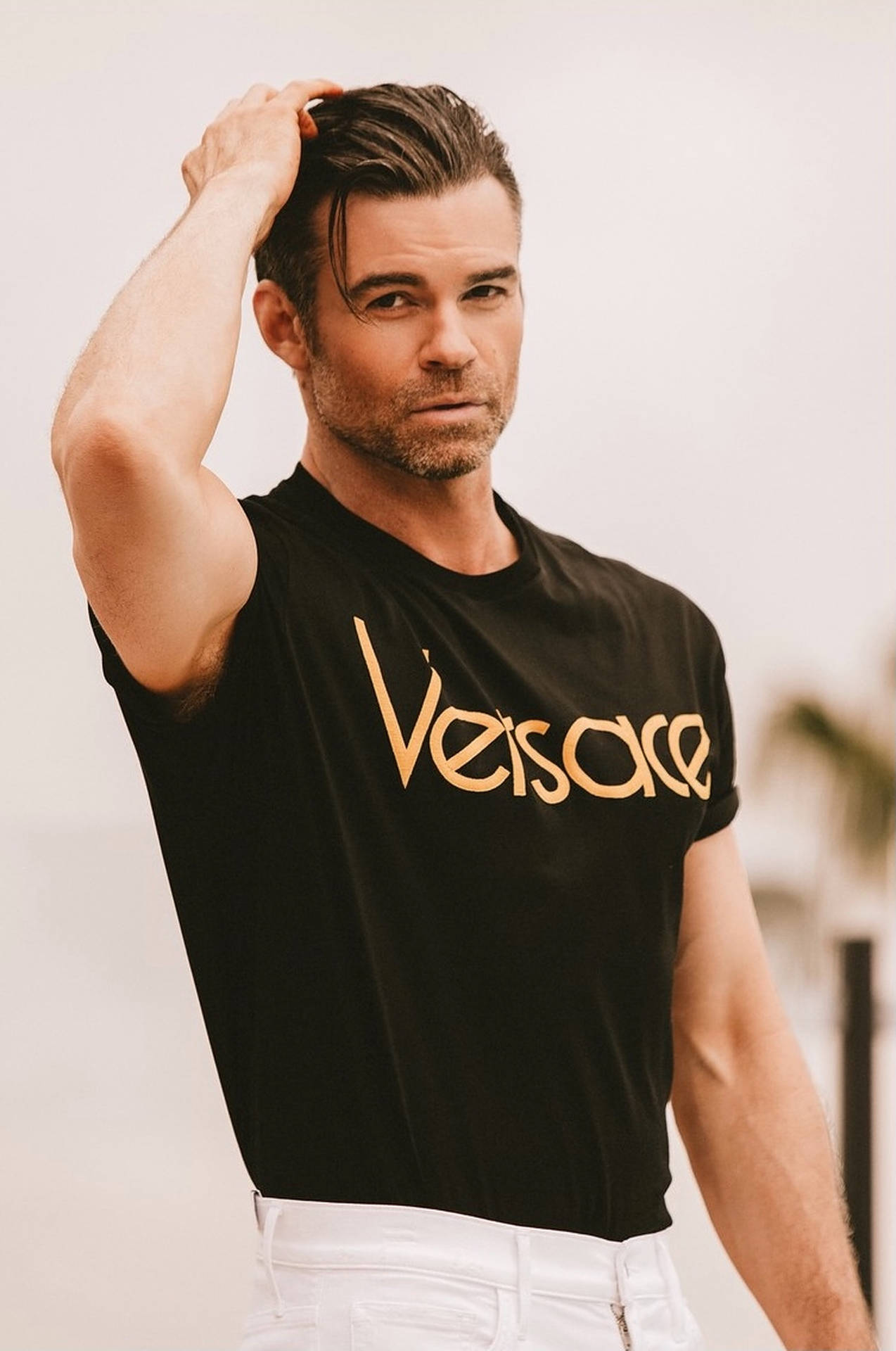 Daniel Gillies Versace Background