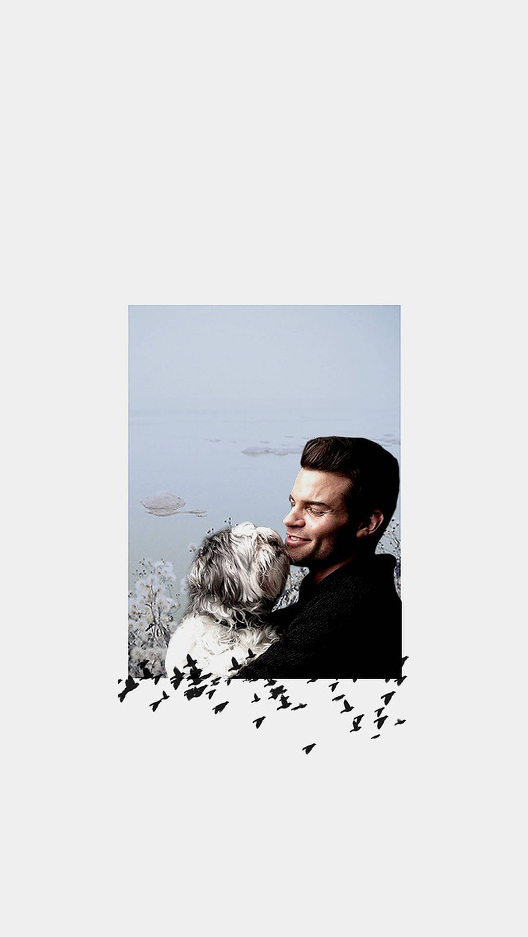 Daniel Gillies White Aesthetic Background