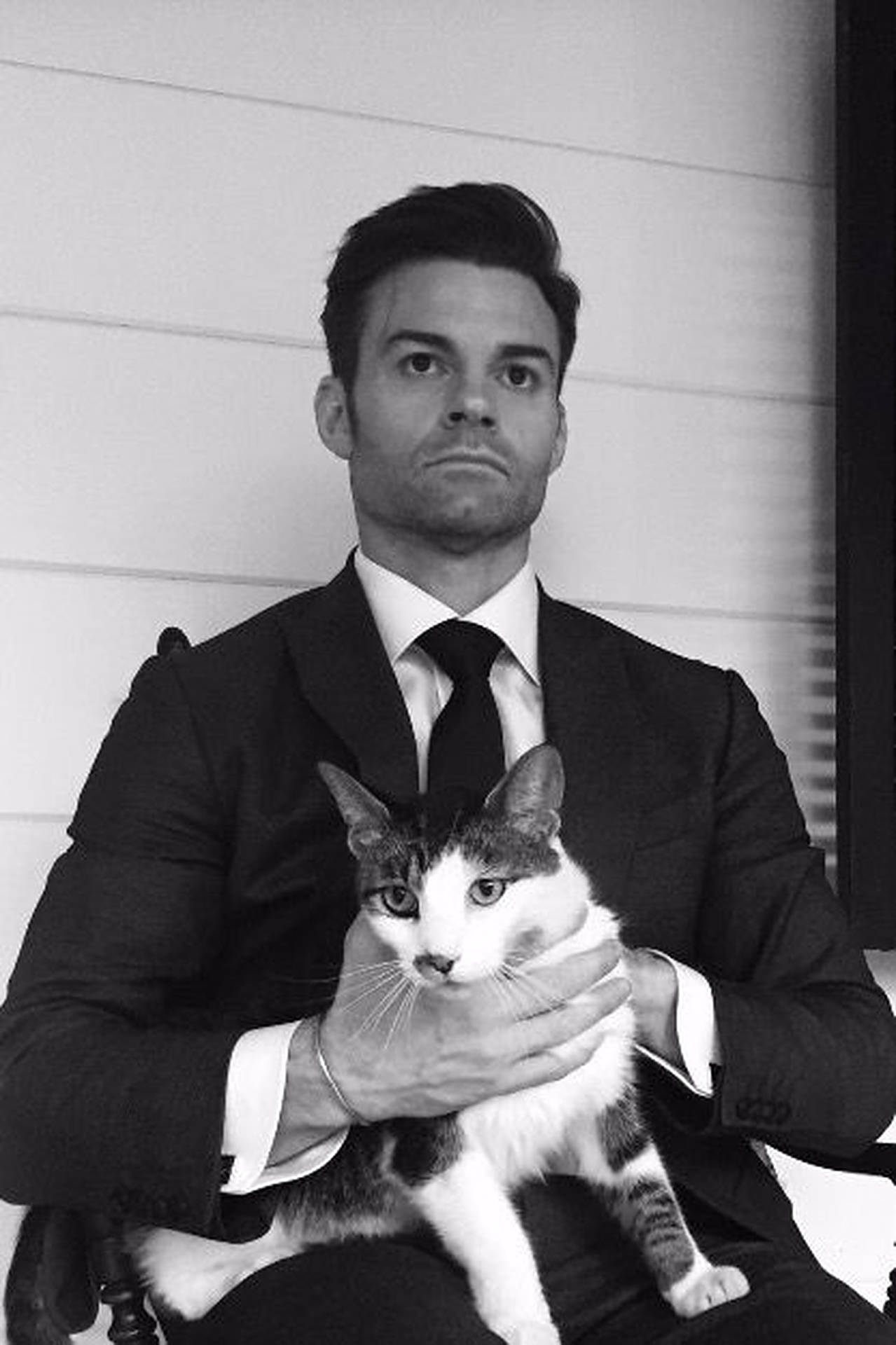 Daniel Gillies With Cat Background