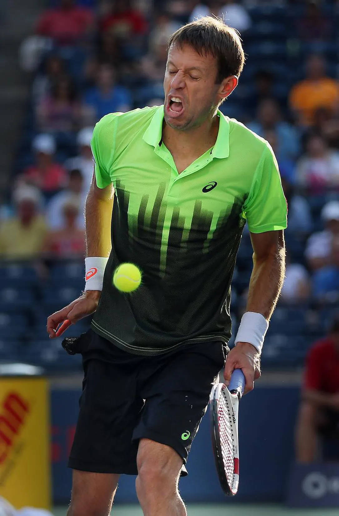 Daniel Nestor Dropping Ball Background