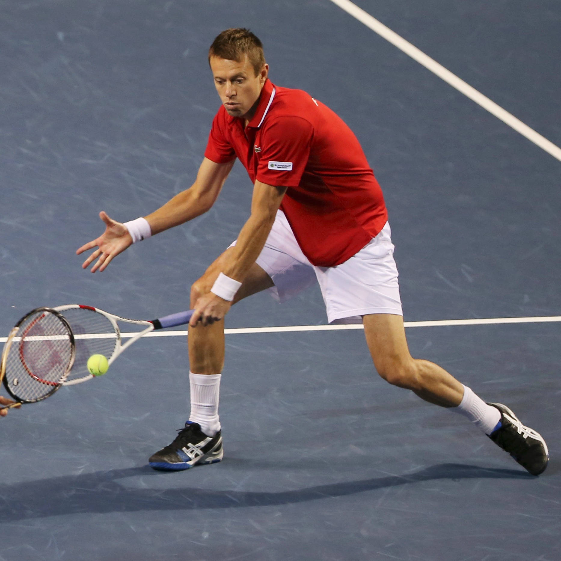 Daniel Nestor Hitting Racket Background