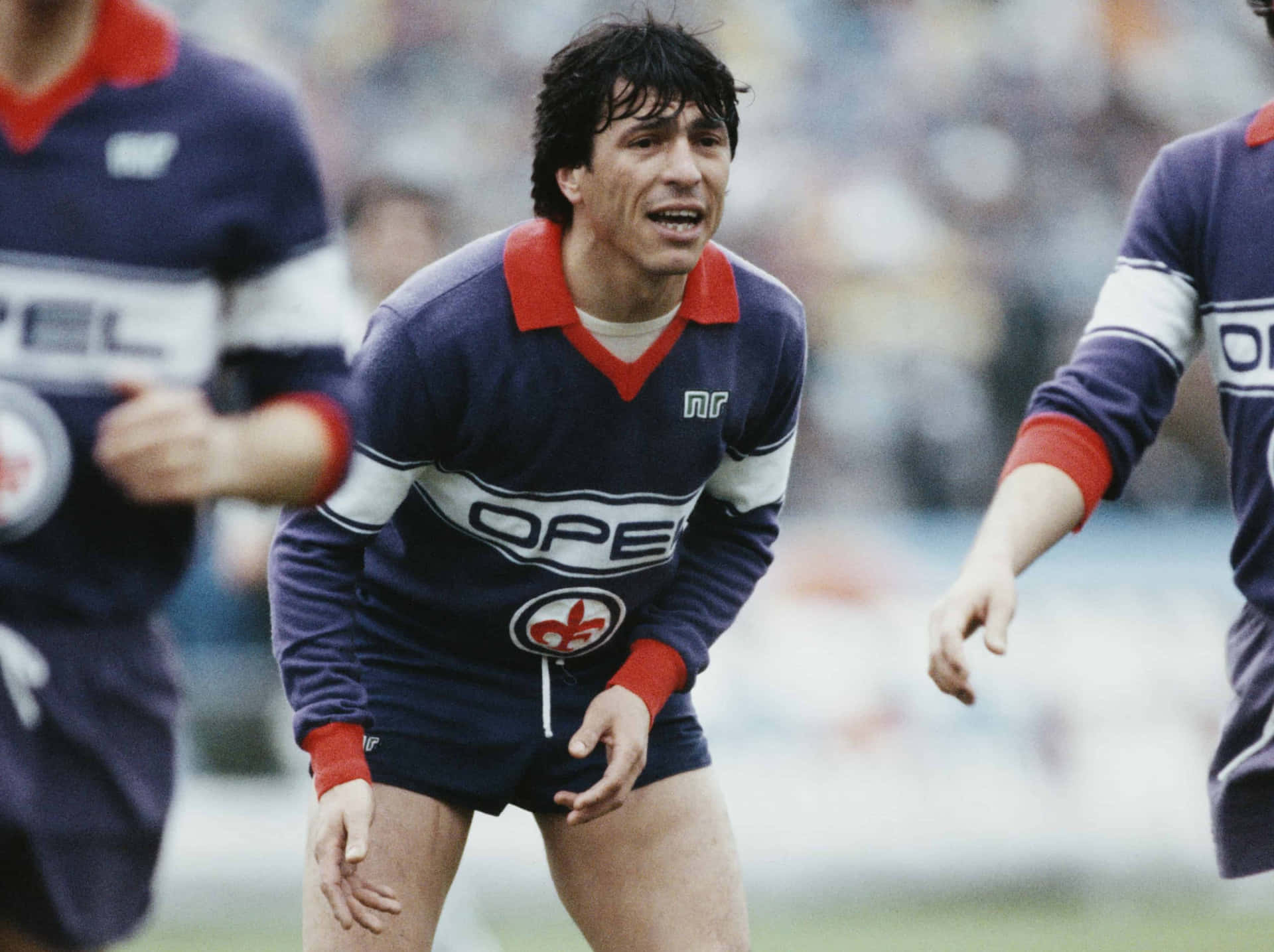 Daniel Passarella A.c. Fiorentina Team Background