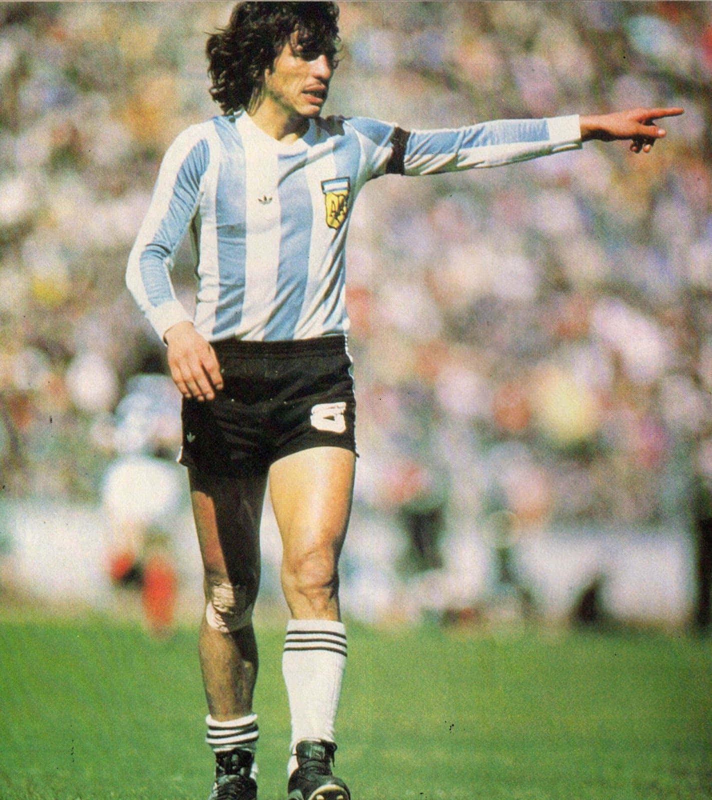 Daniel Passarella Argentina Football Team Captain Background