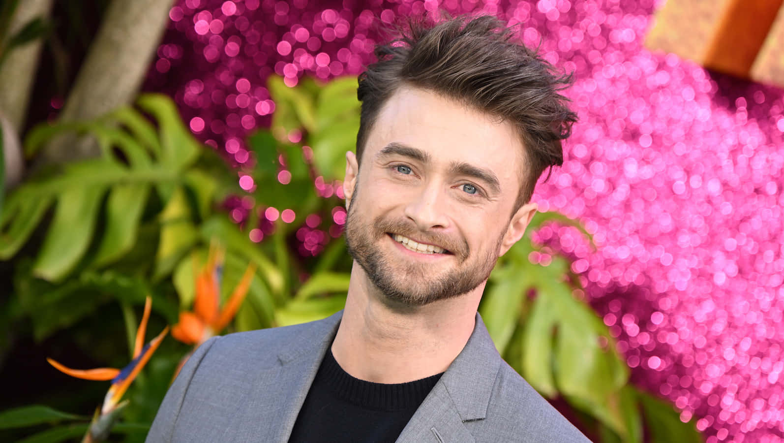 Daniel Radcliffe [wallpaper] Background