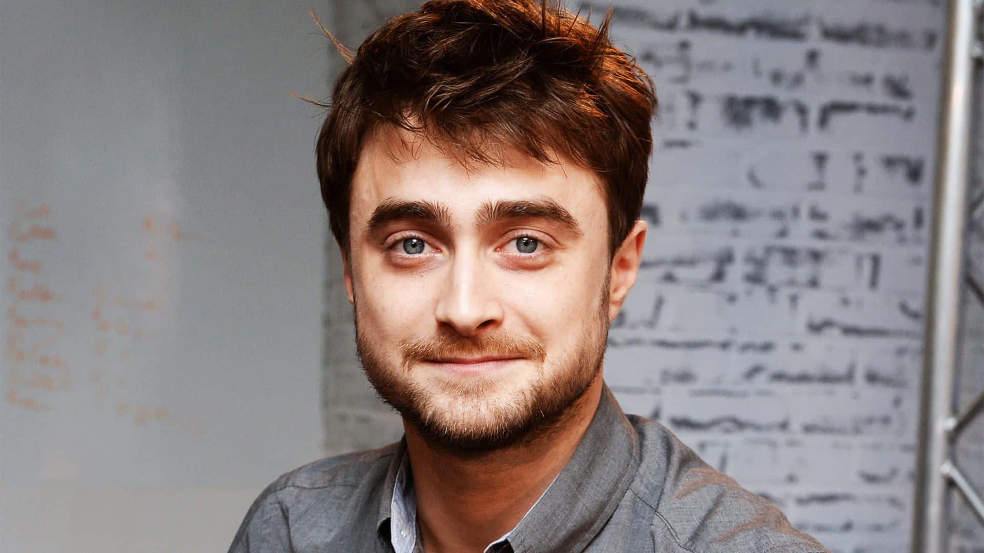 Daniel Radcliffe [wallpaper] Background