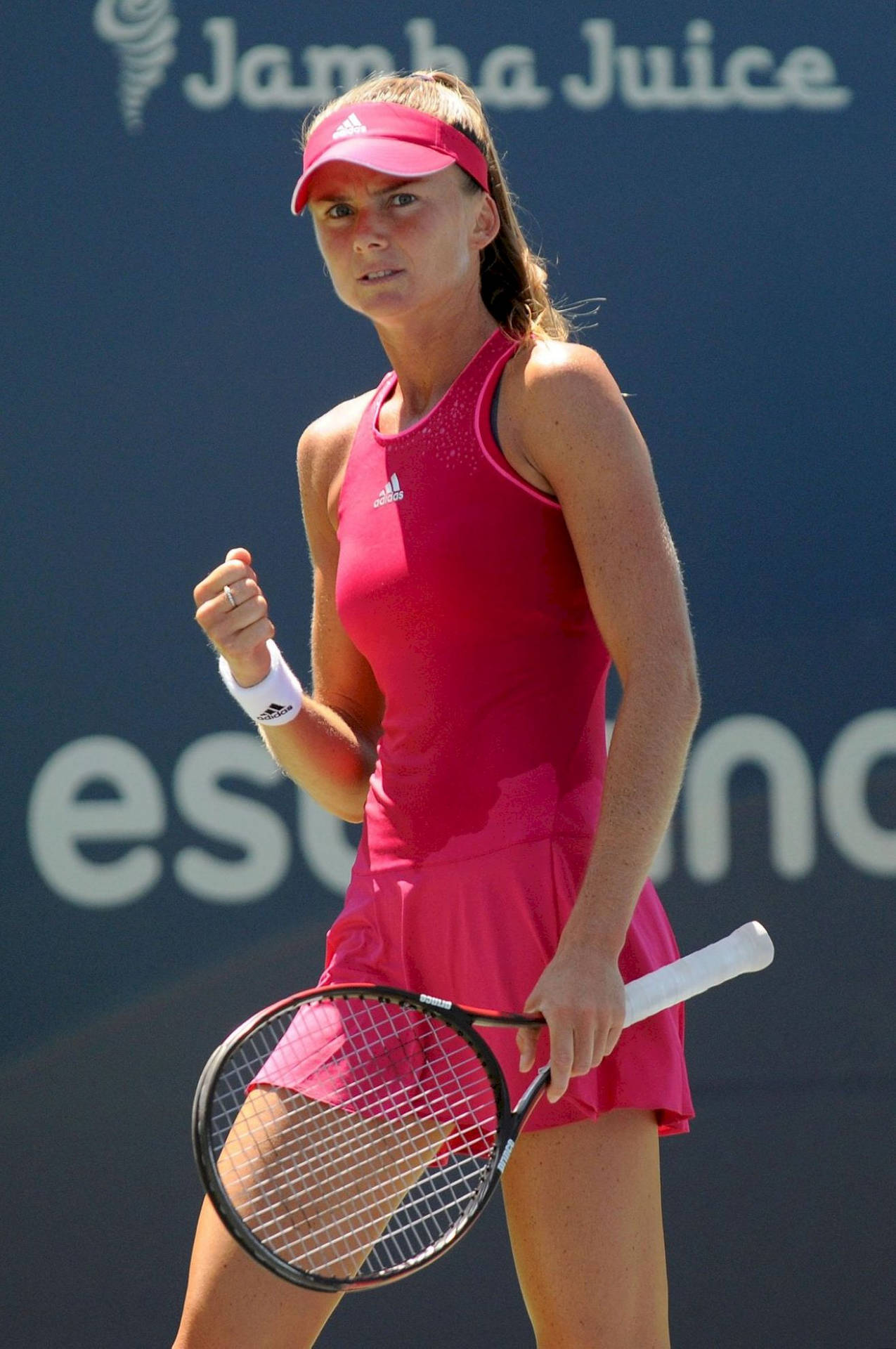 Daniela Hantuchova Determined Background