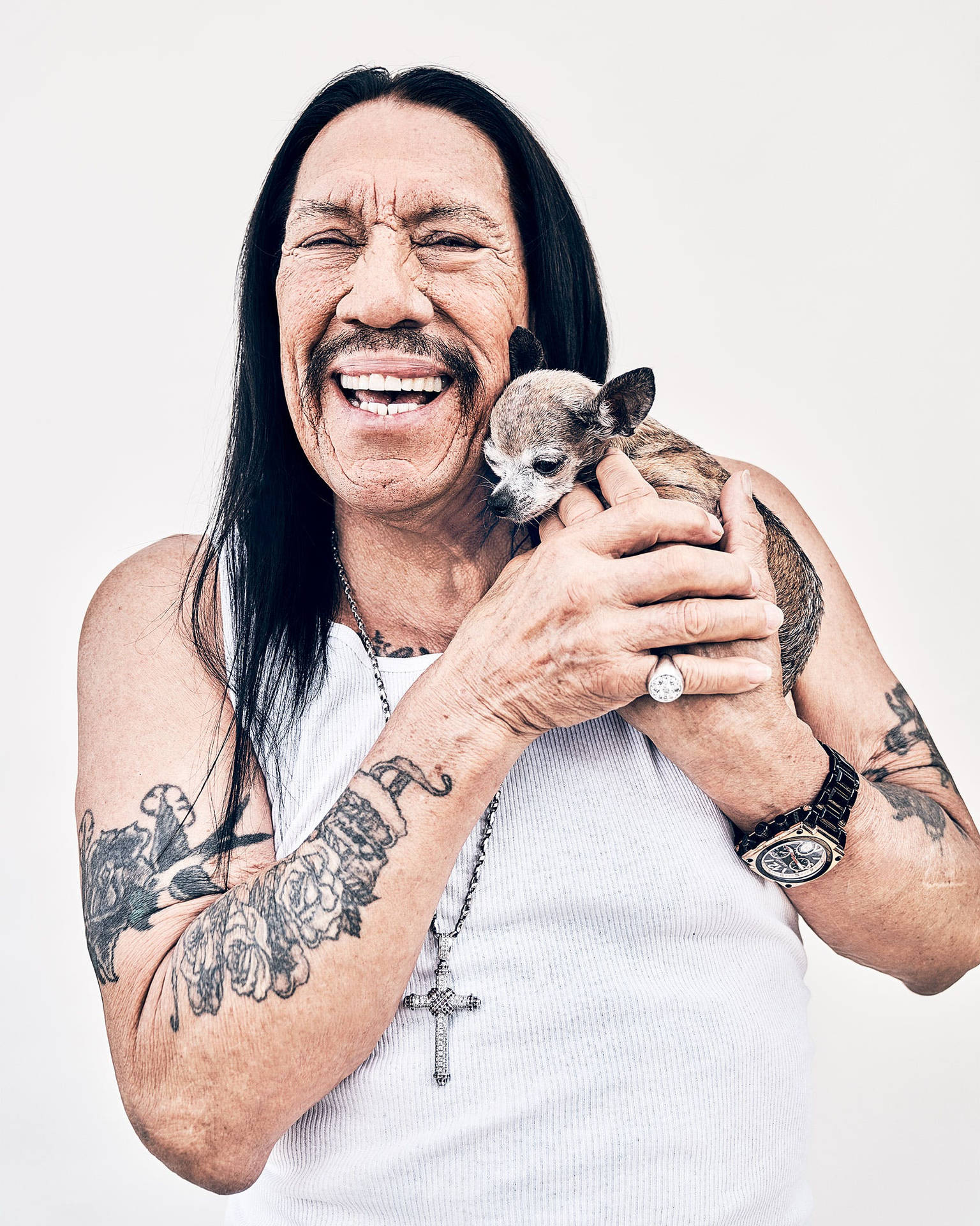 Danny Trejo With Chihuahua Puppy Background