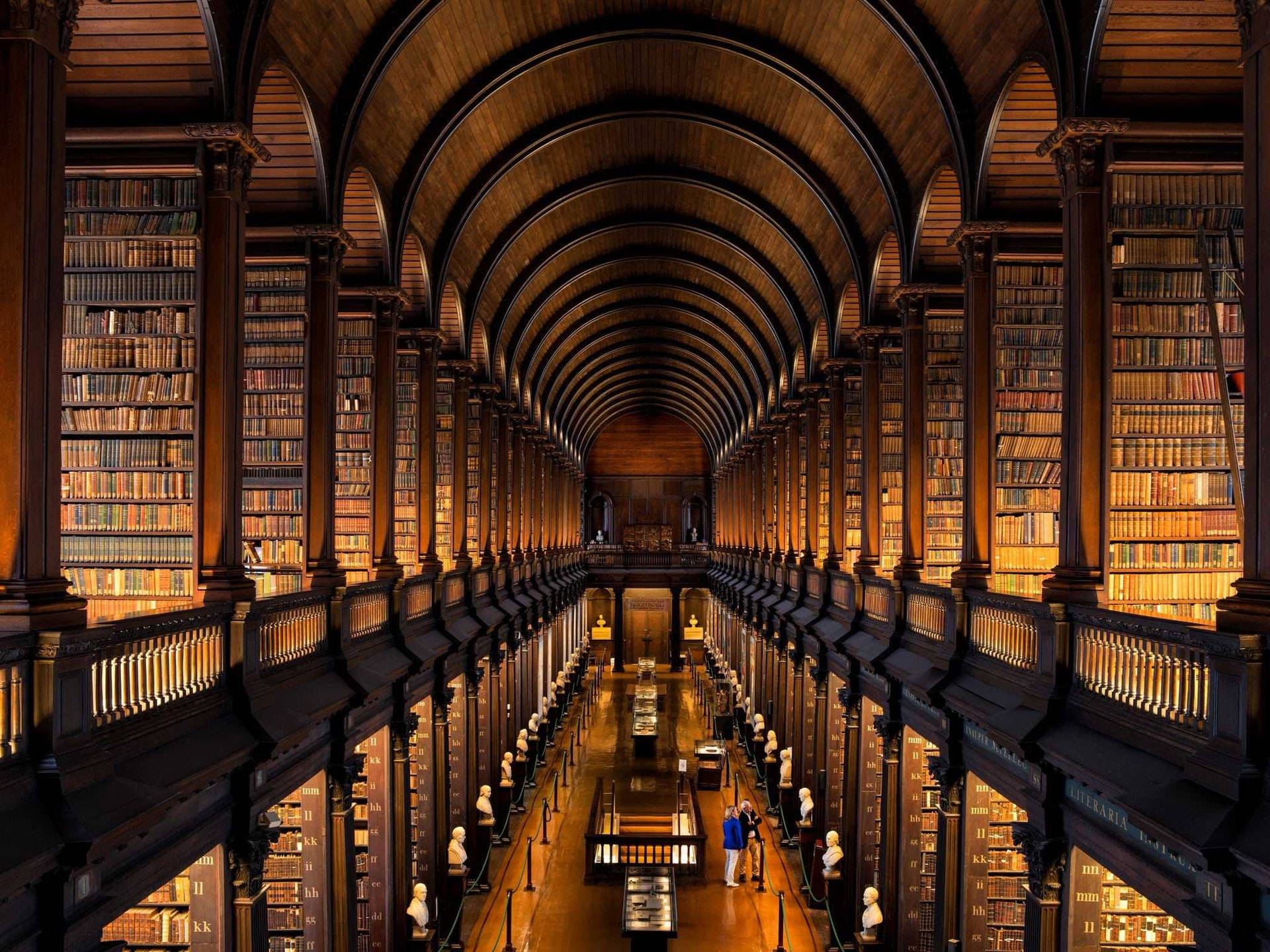 Dark Academia Ireland Library