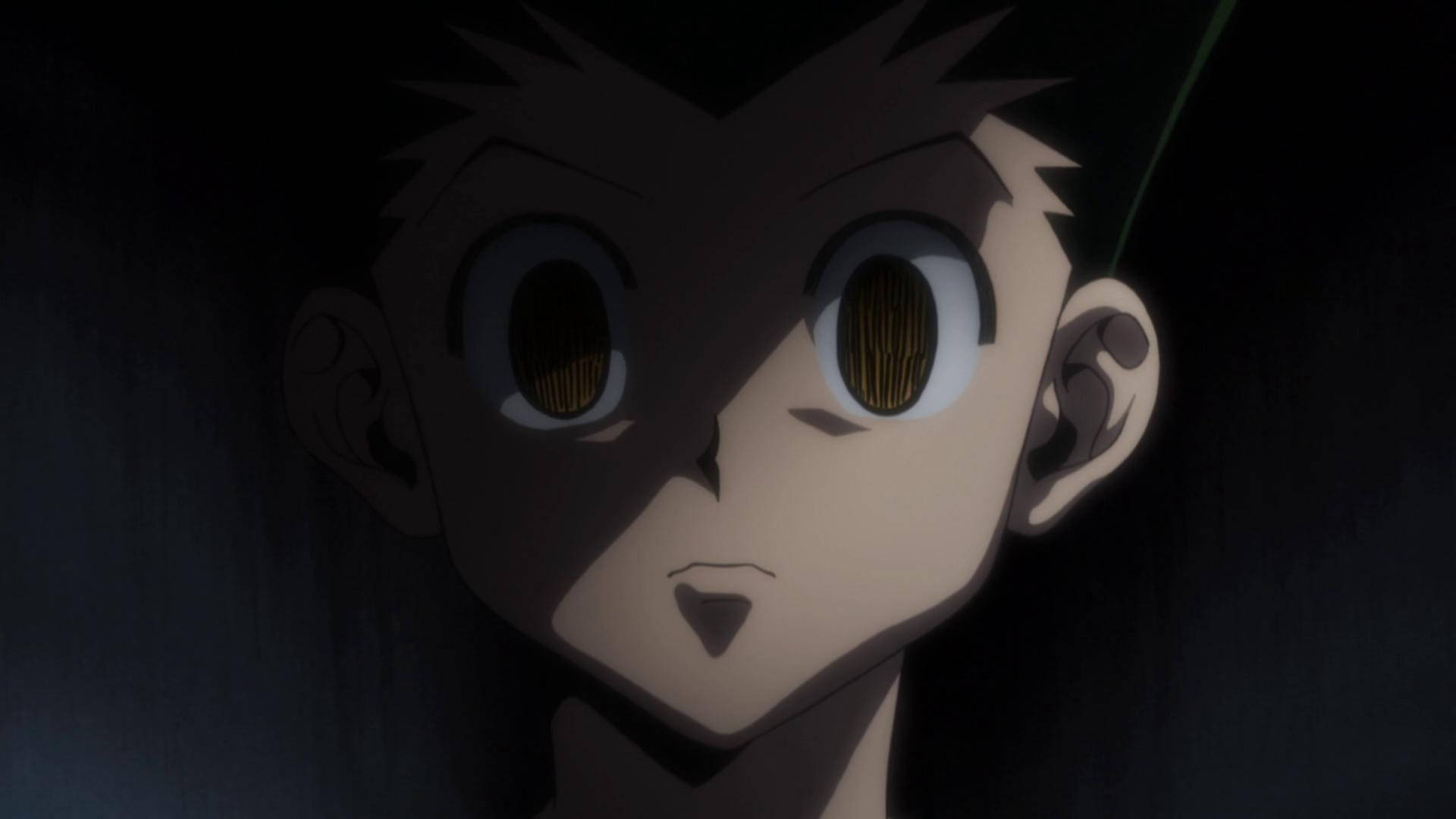 Dark Adult Gon