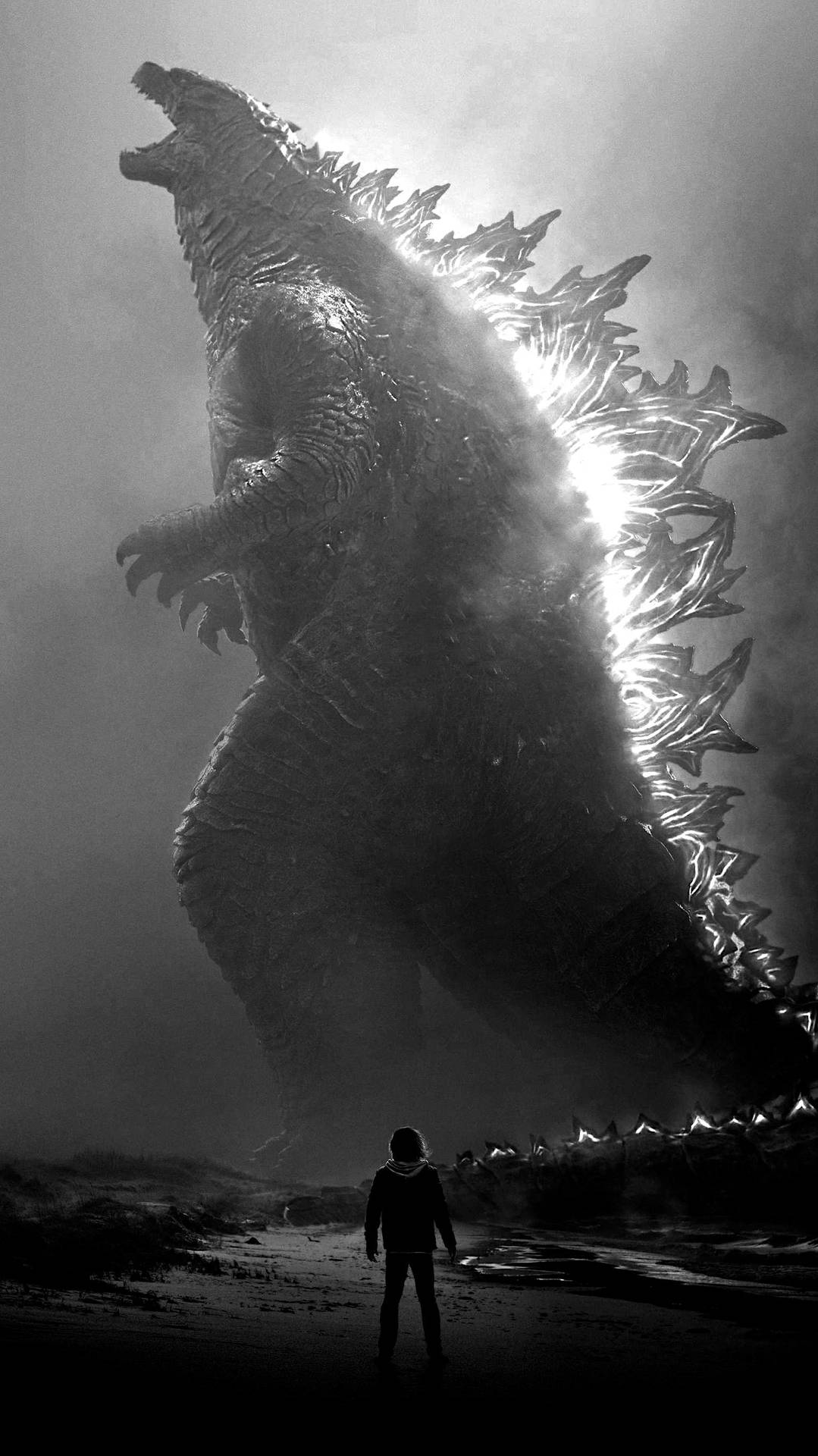 Dark Aesthetic Godzilla King Of The Monsters Hd Background