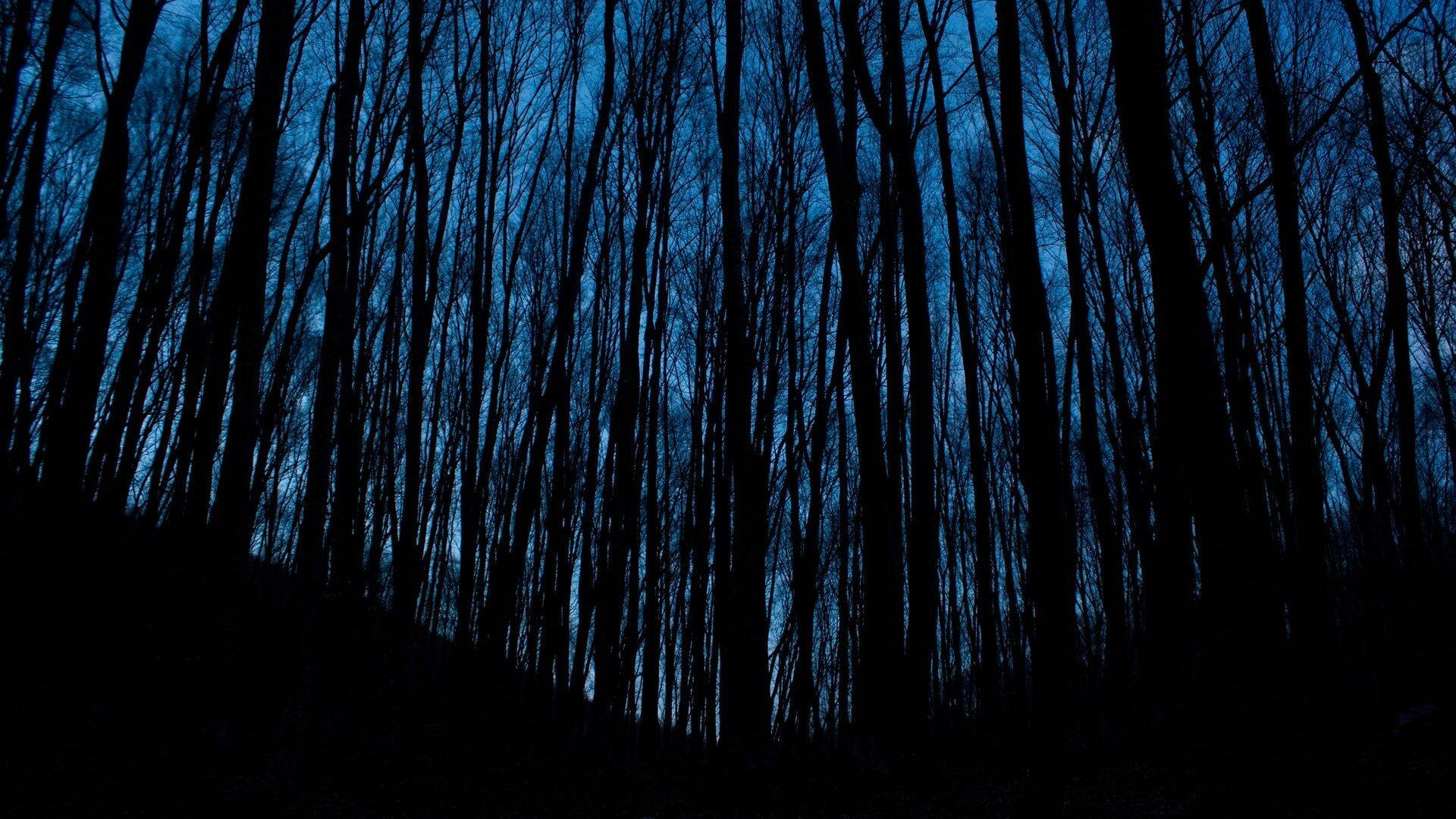 Dark Aesthetic Shadow Trees Background