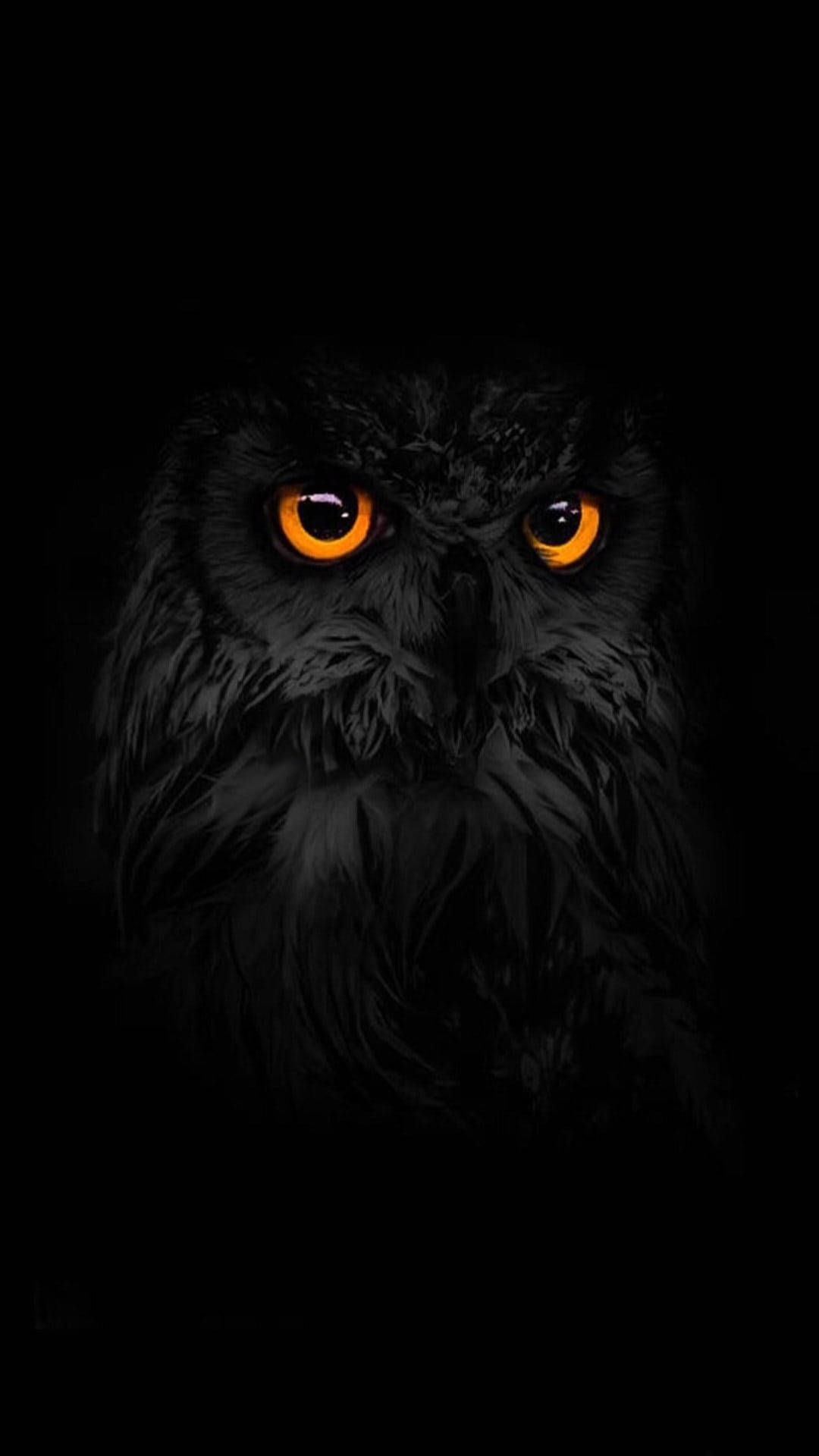 Dark Android Eurasian Owl Eyes Background