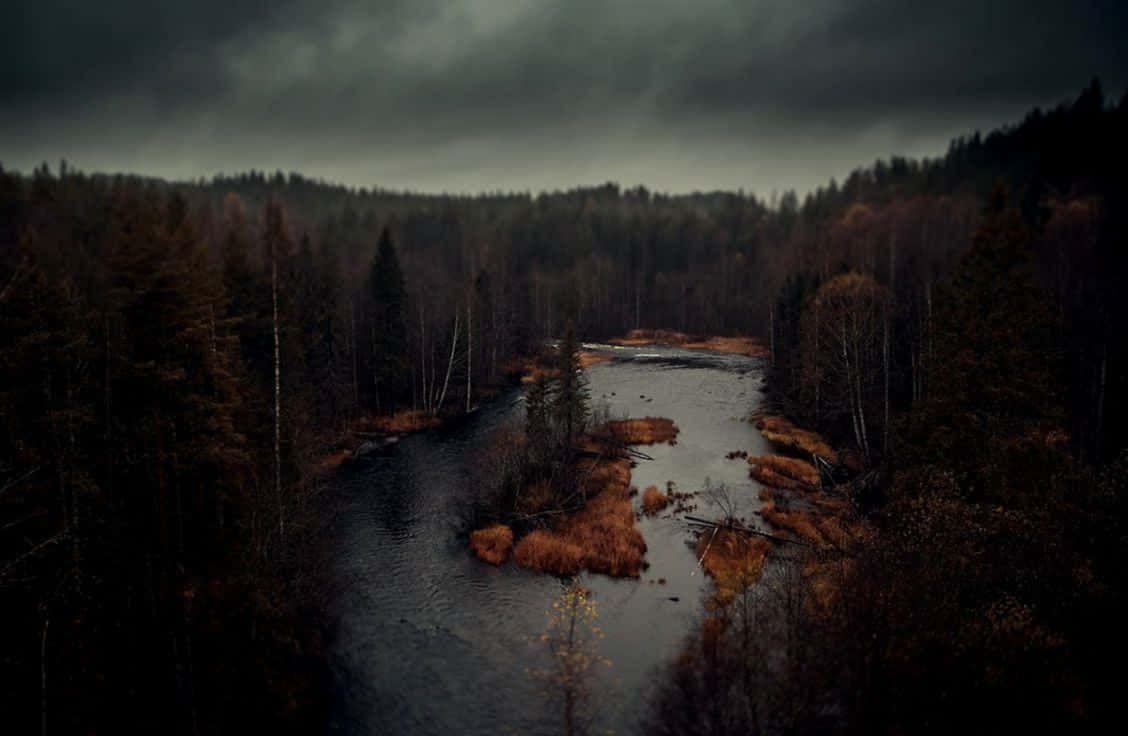 Dark Autumn Forest By The Swamp Background