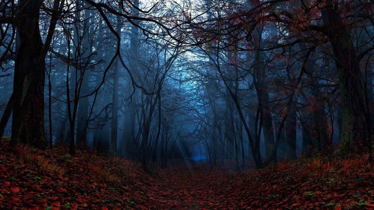 Dark Autumn Forest With Leaves On The Ground Background