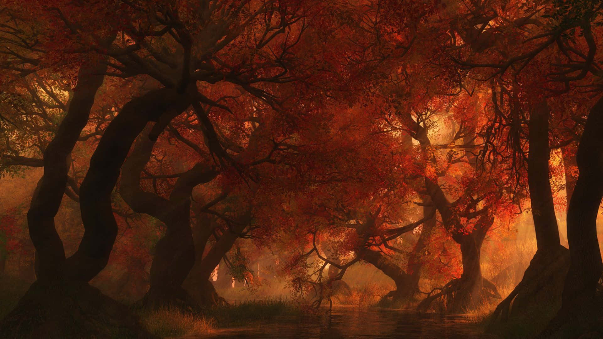 Dark Autumn Forest With Wrinkled Trees Background