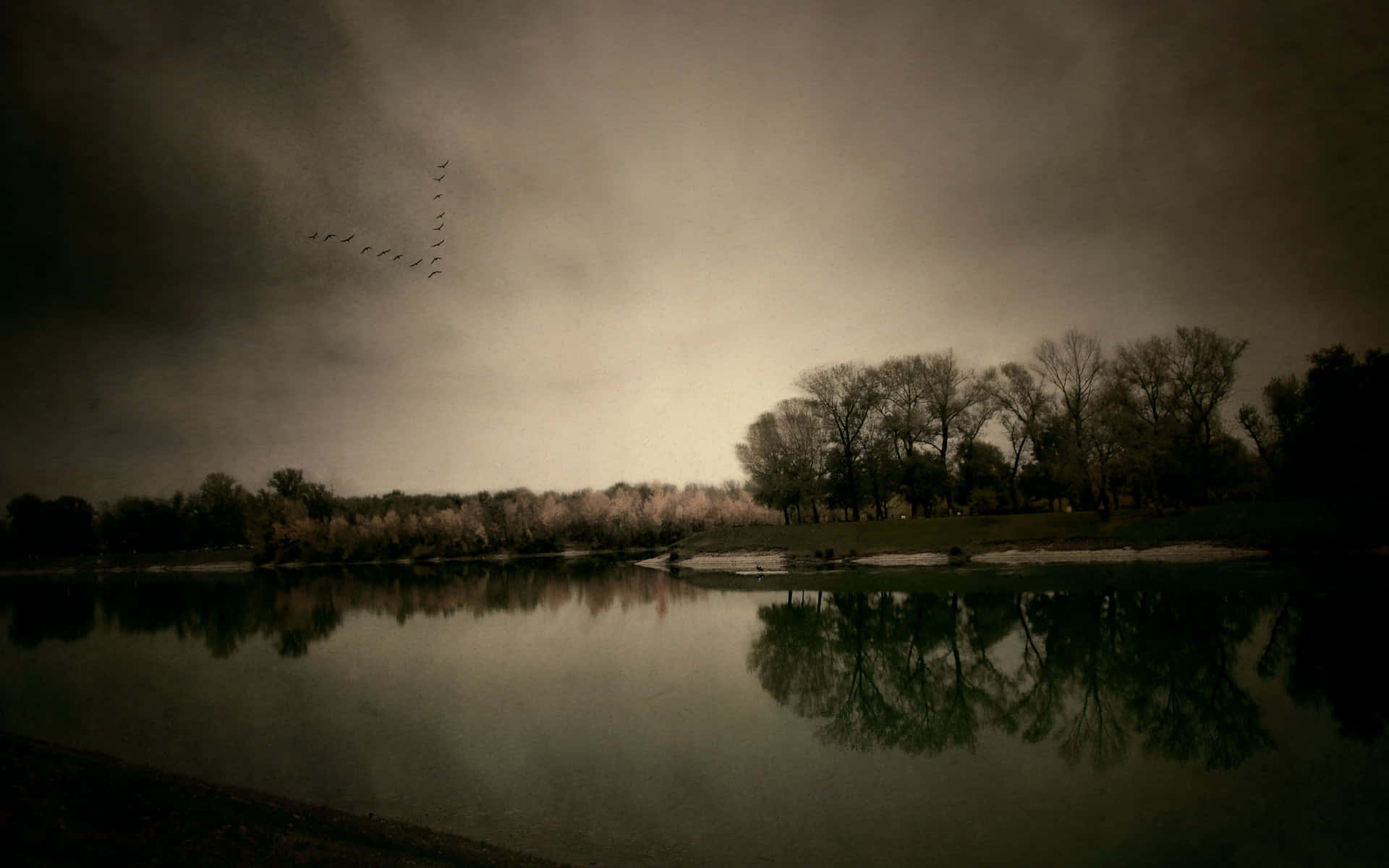 Dark Autumn In A Spooky River Background