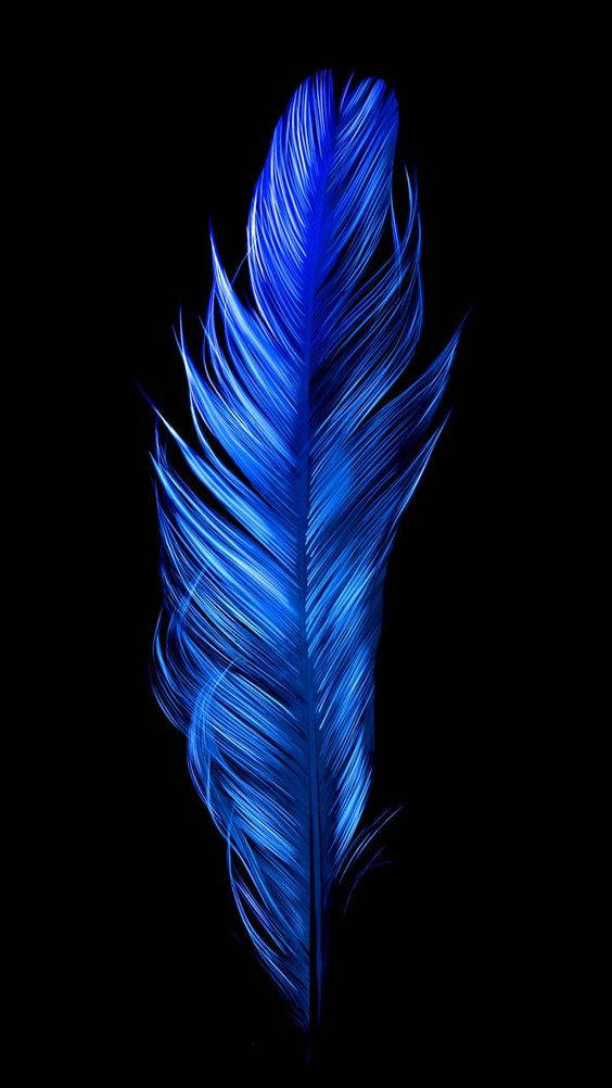Dark Blue Aesthetic Tumblr Feather