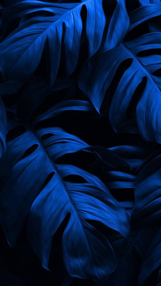 Dark Blue Aesthetic Tumblr Monstera Leaves Background