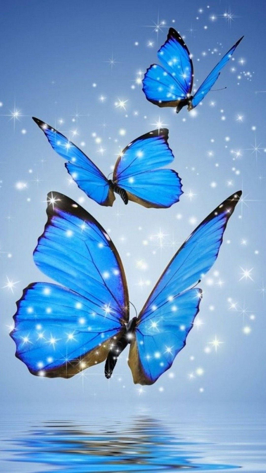 Dark Blue Butterflies Iphone Background