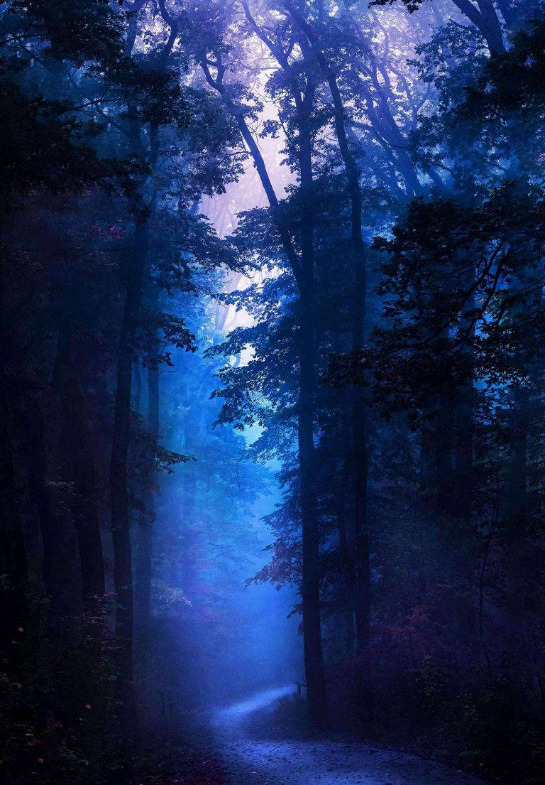 Dark Blue Forest Ipad 2021