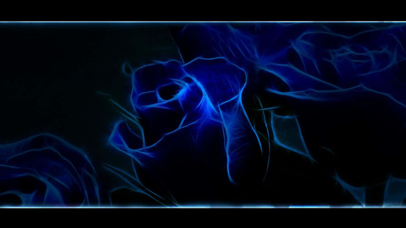 Dark Blue Rose Abstract 1366 X 768 Background