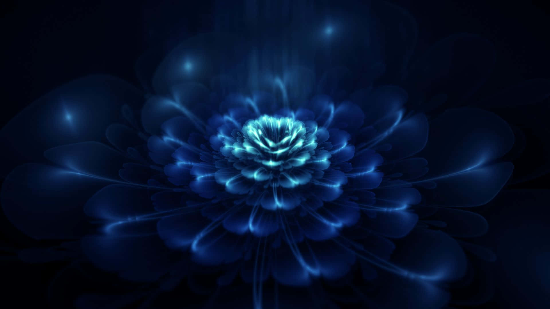 Dark Blue Rose Abstract 1920 X 1080 Background