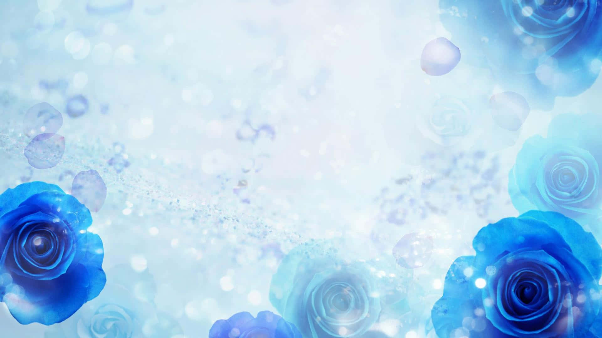 Dark Blue Rose Abstract 1920 X 1080 Background
