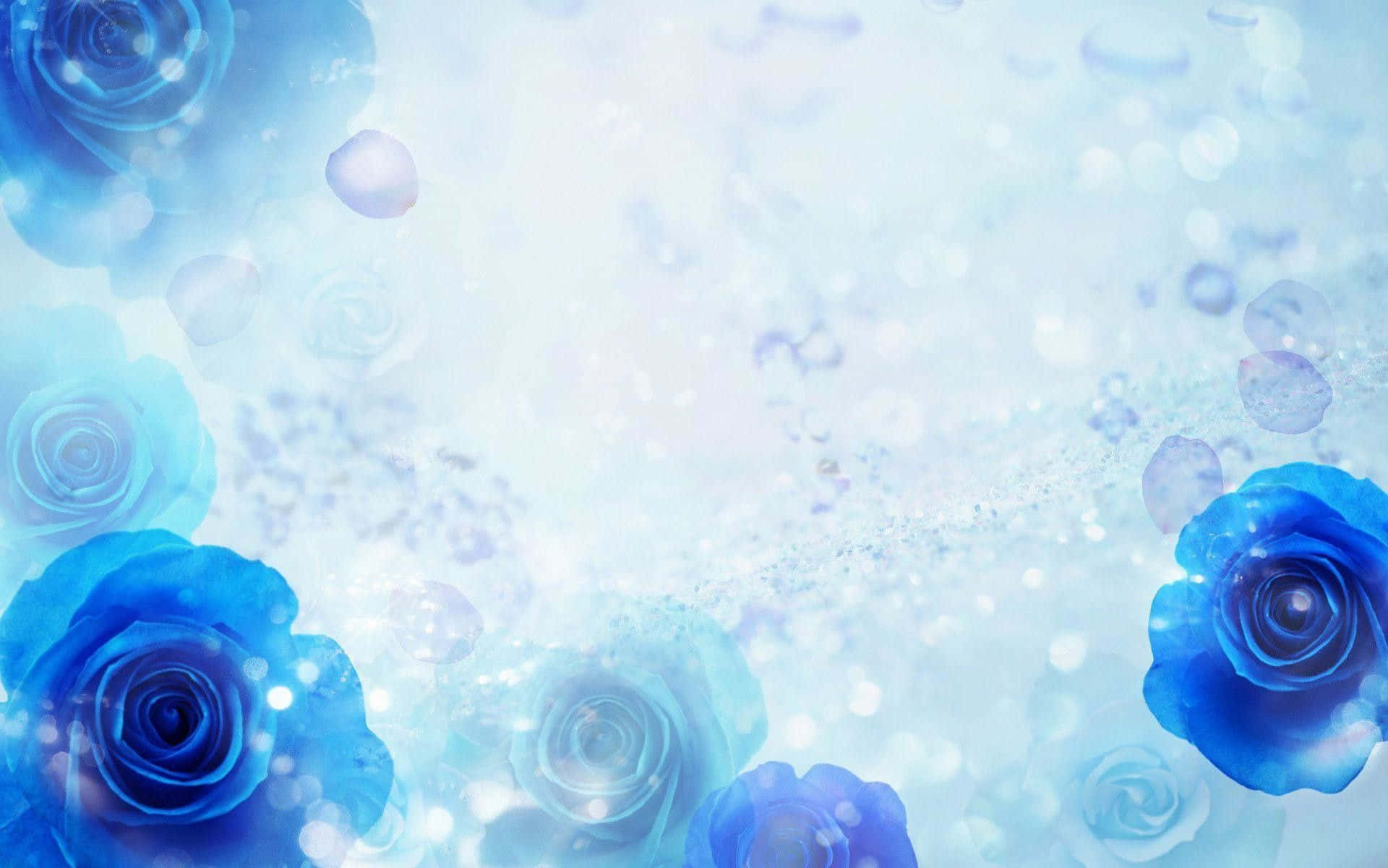 Dark Blue Rose Abstract 1920 X 1200 Background