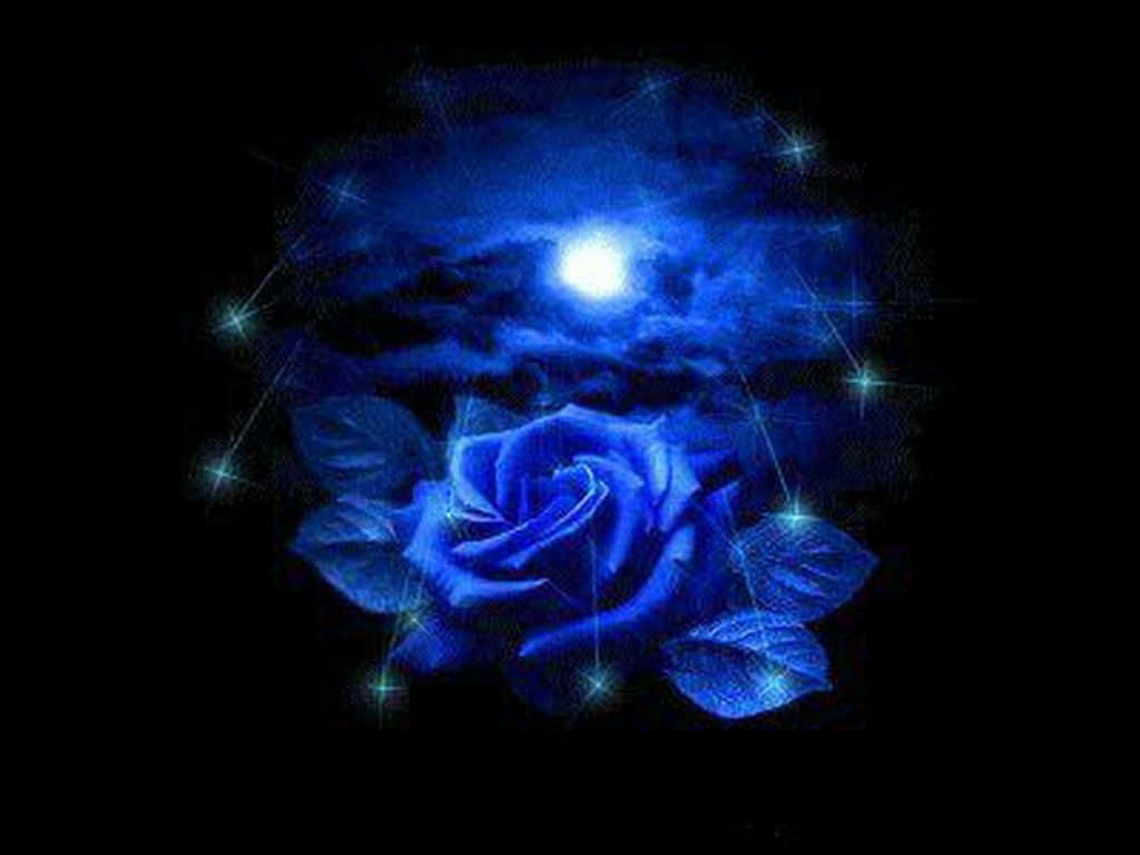 Dark Blue Rose Abstract Background