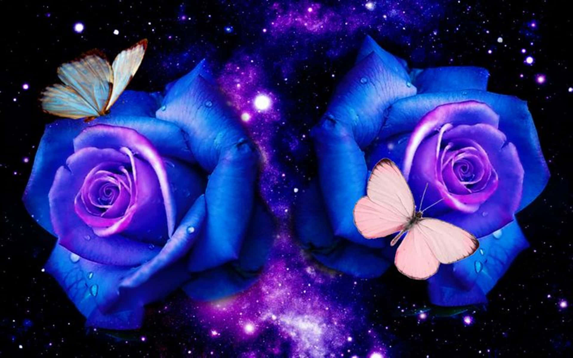 Dark Blue Rose Abstract 2560 X 1600 Background