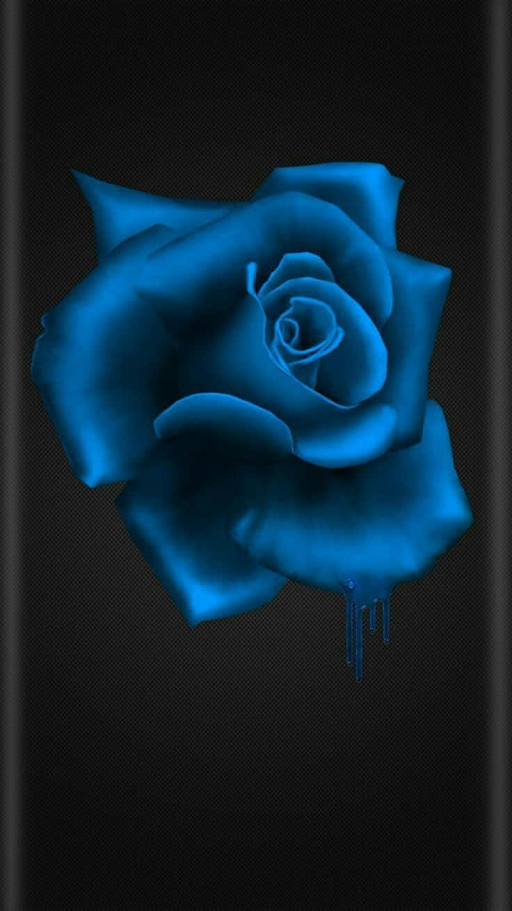 Dark Blue Rose Abstract 736 X 1308 Background