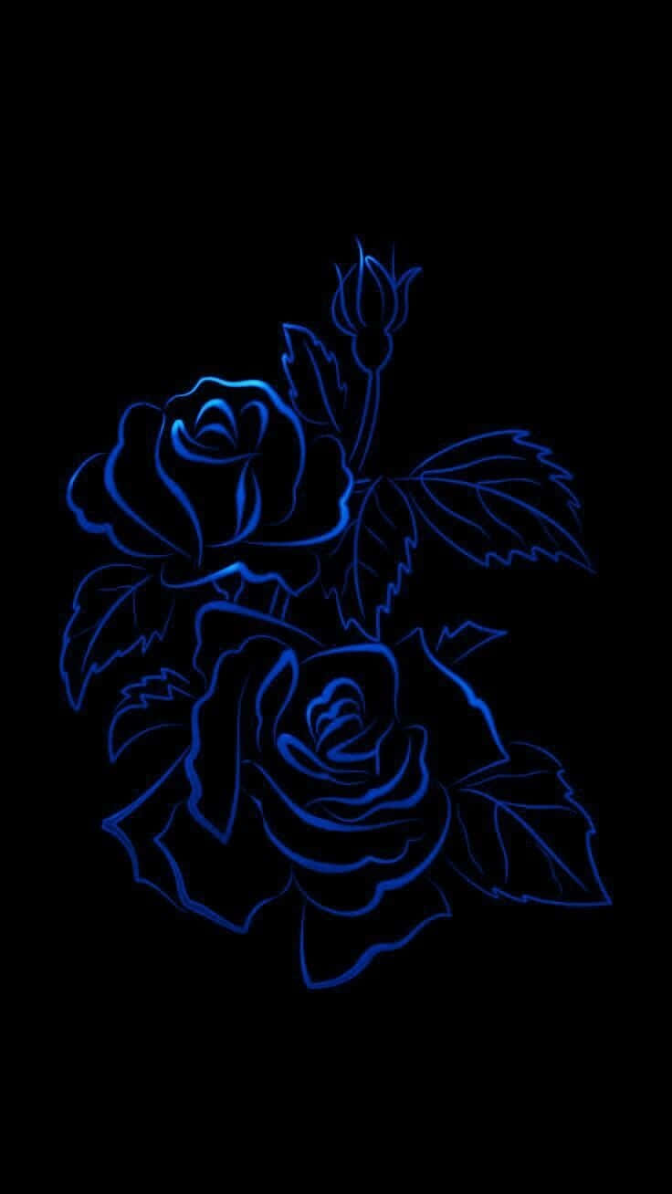 Dark Blue Rose Abstract 736 X 1308 Background