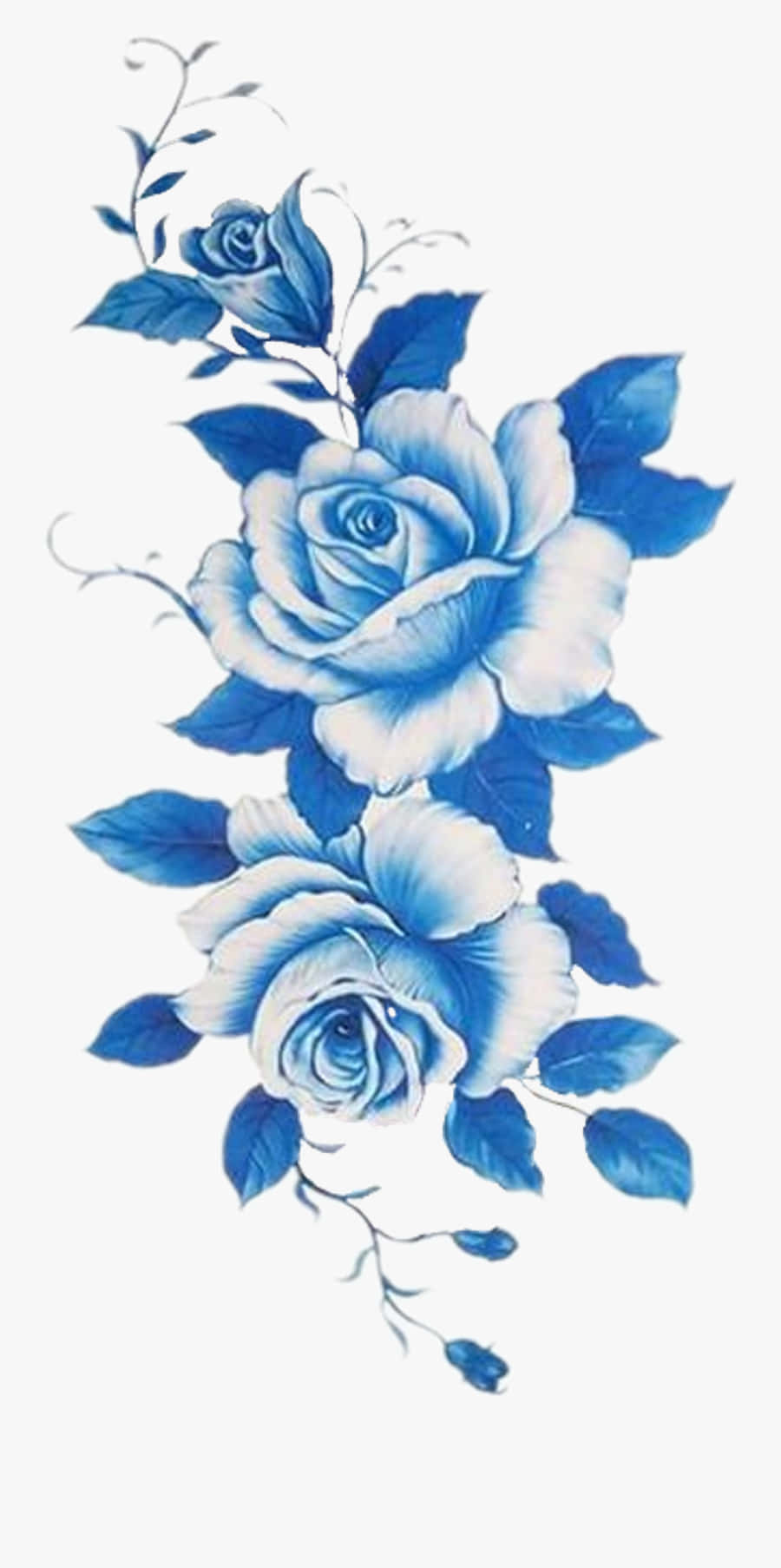 Dark Blue Rose Abstract Background